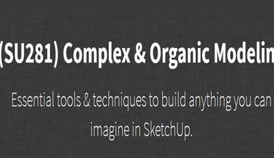 (SU281) Complex vs Organic Modeling