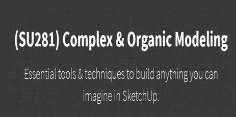 (SU281) Complex vs Organic Modeling