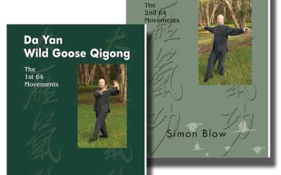 Simon Blow – Da Yan Wild Goose Qigong The 2nd 64 movements