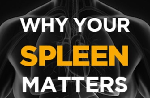 Perry Nickelston – Stop Chasing Pain – Why Your Spleen Matters