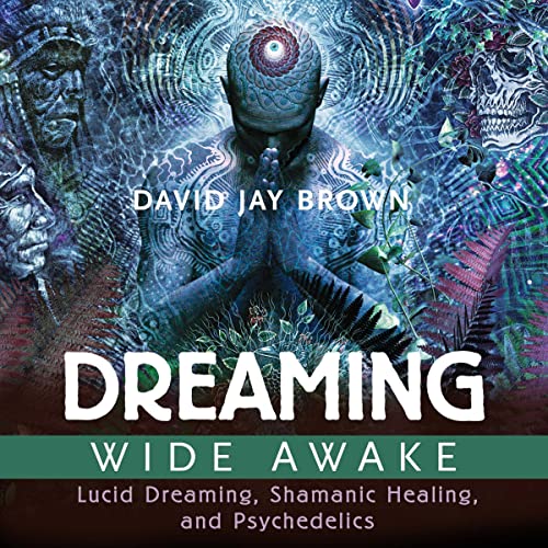 David Jay Brown – Dreaming Wide Awake: Lucid Dreaming, Shamanic Healing, and Psychedelics