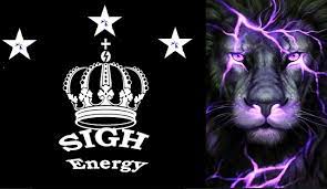 Sigh Energy – Body Harmonizer Powerful Plus +11x(Extra Strong)
