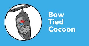 BowtiedCocoon – Zero to $100k- Landing Any Tech Sales Role Course