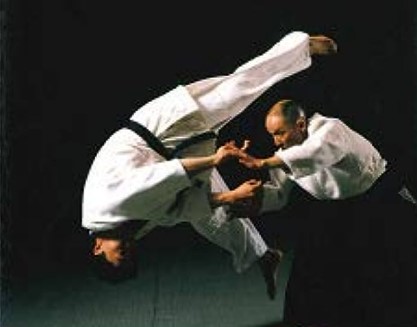 Aikido Yoshinkan – The Complete Set of Techniques ShareActions