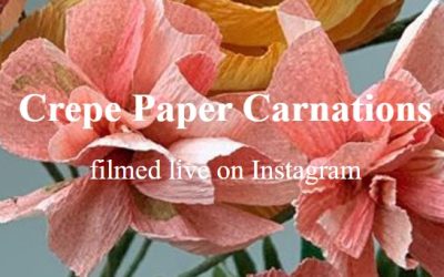 Amity Katharine Libby – Crepe Paper Carnations