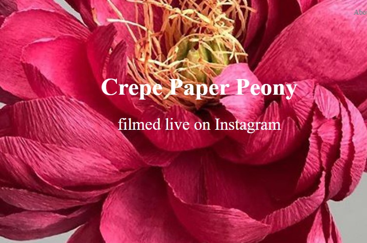 Amity Katharine Libby – Crepe Paper Peony