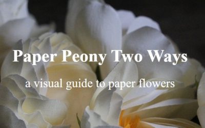 Amity Katharine Libby – Paper Peony Two Ways