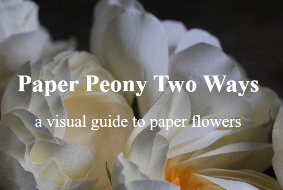 Amity Katharine Libby – Paper Peony Two Ways