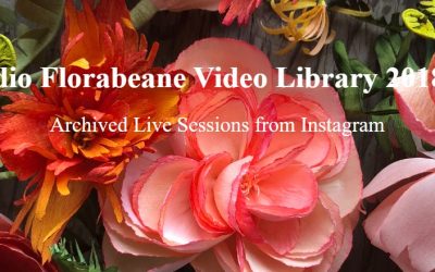 Amity Katharine Libby – Studio Florabeane Video Library 2018-19