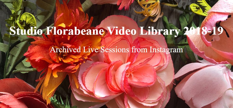 Amity Katharine Libby – Studio Florabeane Video Library 2018-19