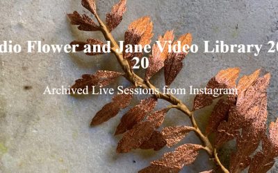 Amity Katharine Libby – Studio Flower and Jane Video Library 2019-20