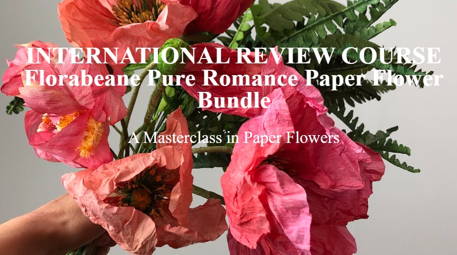 Amity Katharine Libby – TERNATIONAL REVIEW COURSE Florabeane Pure Romance Paper Flower Bundle