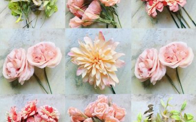 Amity Katharine Libby vs Sam Taylor – #7DAYBOUQUET