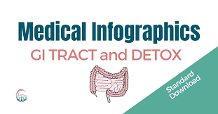 Dr. Lara Salyer – GI TRACT and DETOX Medical Infographics – Premium