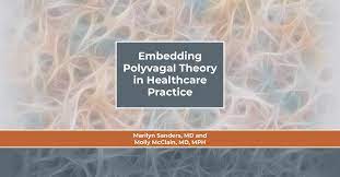 Embedding Polyvagal Theory in Healthcare Practice