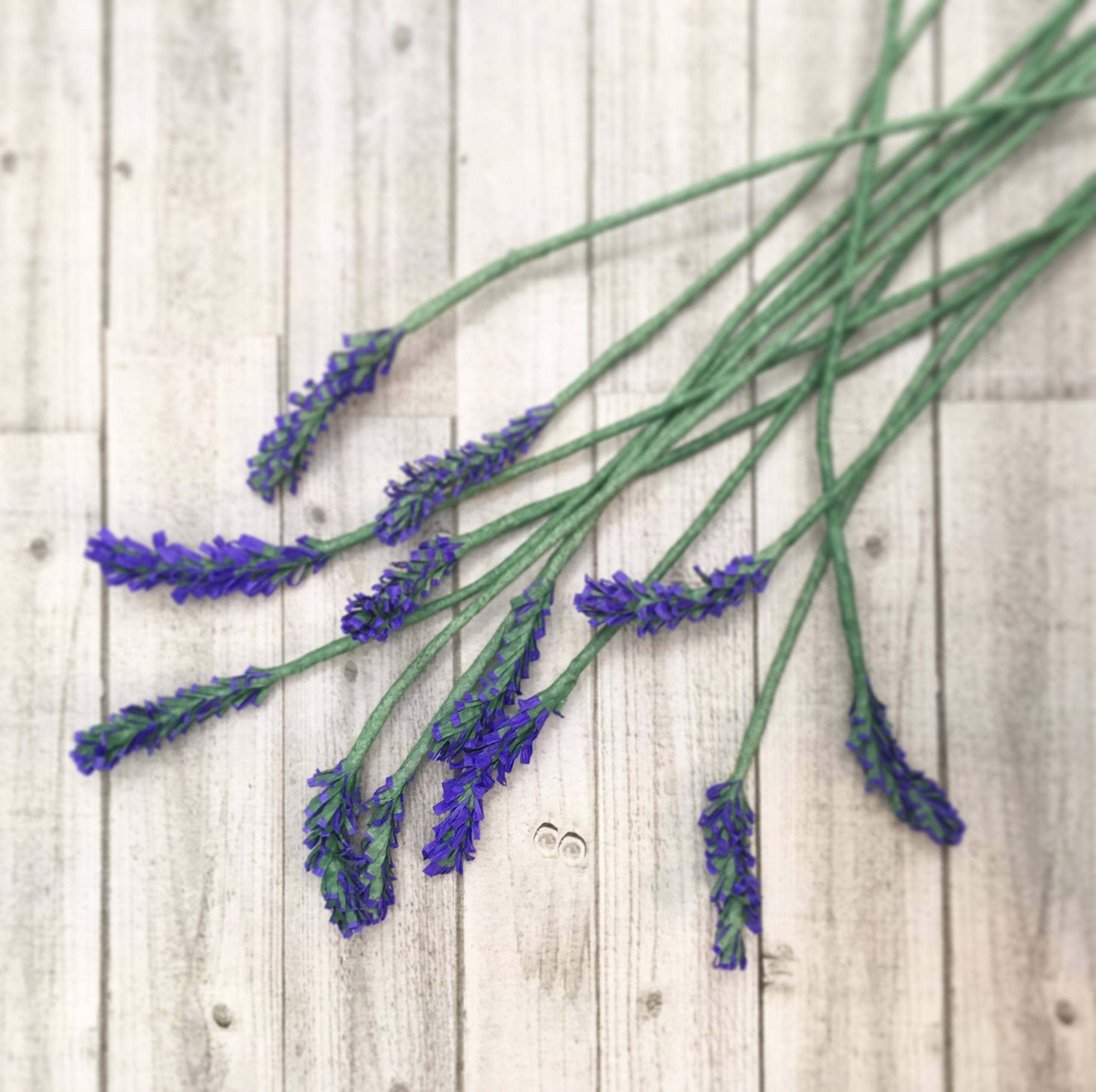 Janita Court – Paper English Lavender Buds