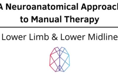 Ryan Foley – A Neuroanatomical Approach to Manual Therapy – Lower Limb & Lower Midline