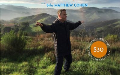 Sifu Matthew Cohen – Sacred Energy Arts Qigong – Module 1 – 7
