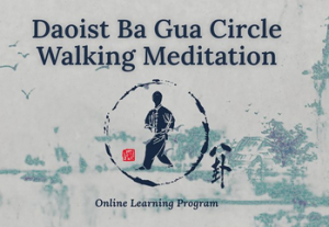 Tom Bisio - Daoist Ba Gua Circle Walking Meditation Online Learning Program