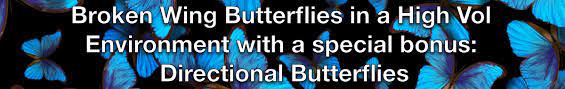 Dan Sheridan – Sheridan Options Mentoring – Broken Wing Butterflies in High Vol with Directional Fly