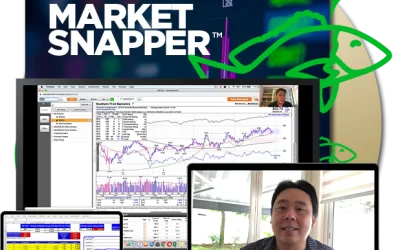 Piranha Profits – Stock Trading Course Level 2 – Market Snapper™ 2019