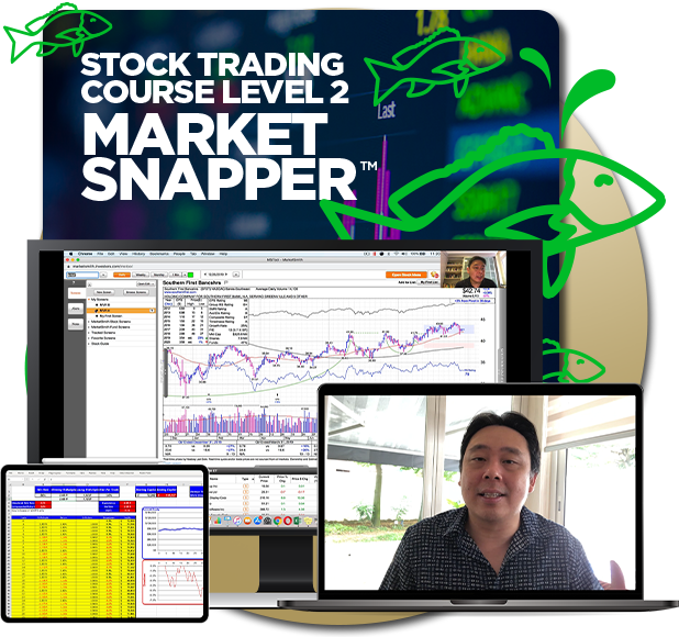 Piranha Profits – Stock Trading Course Level 2 – Market Snapper™ 2019 1