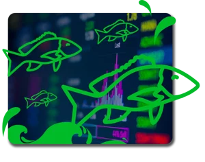 Piranha Profits - Stock Trading Course Level 2 - Market Snapper™ 2019