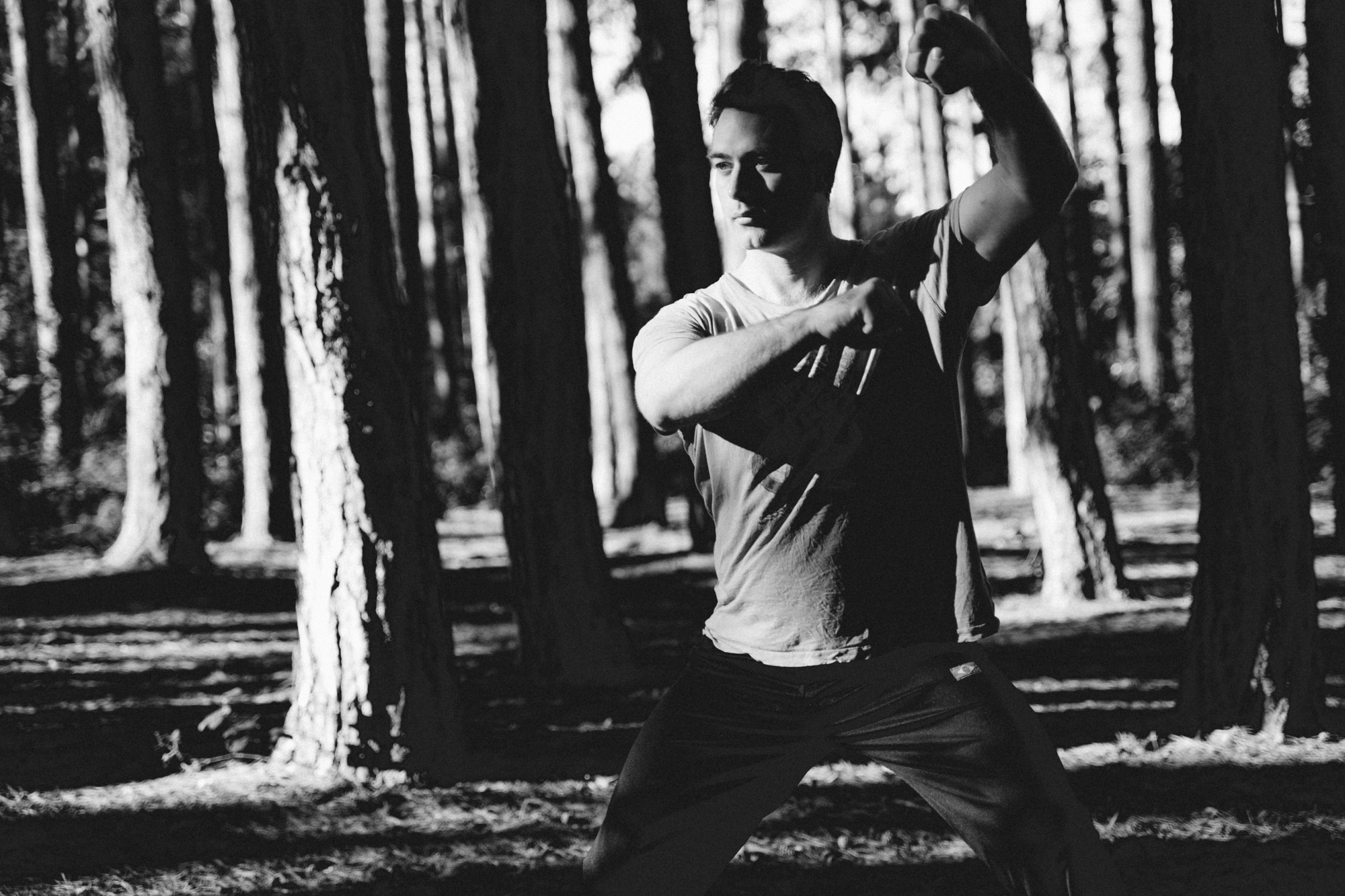 Sifu Neil Rosiak - Online Tai Chi Neigong Course