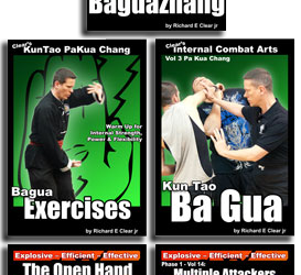 Sigung Clear – Clear’s Bagua Intensive Online Course