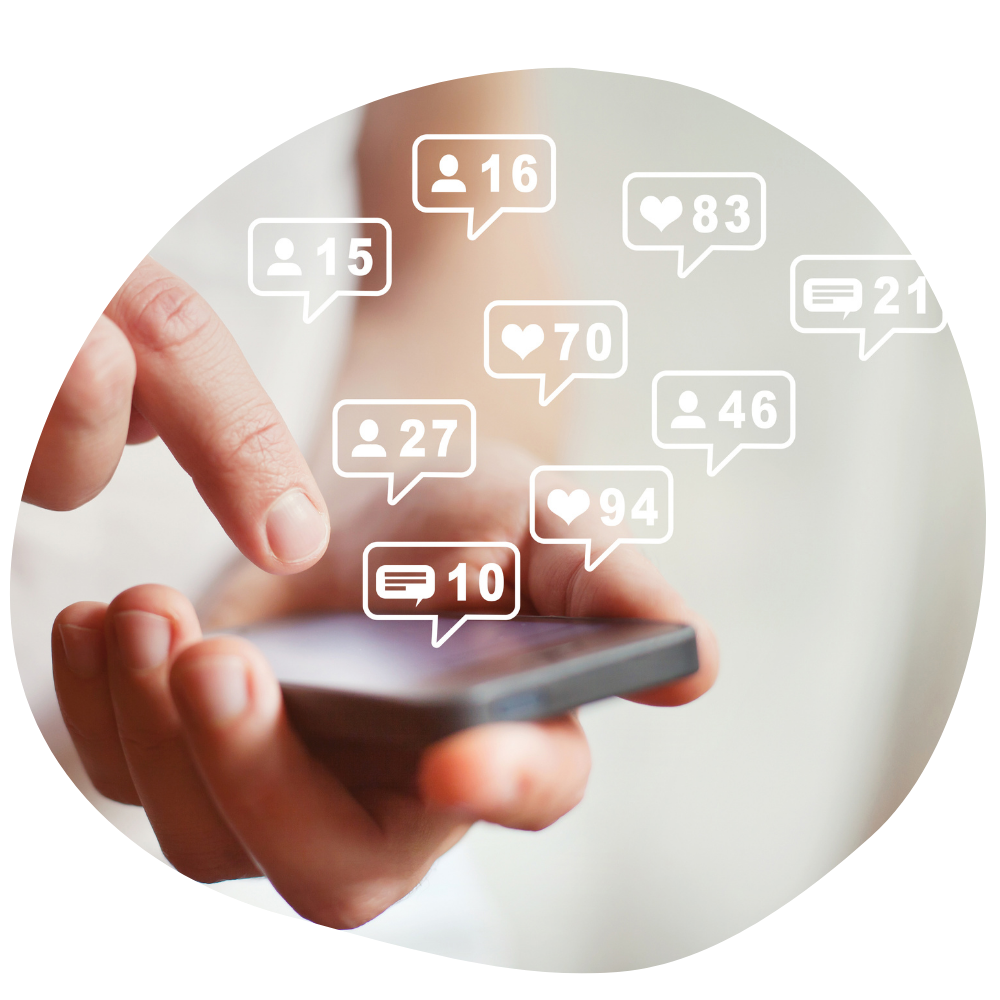 Theresa Depasquale – Social Butterfly Academy 2