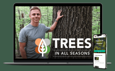 Adam Haritan – Trees In All Seasons