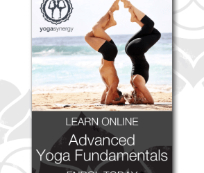 Bianca Machliss & Simon Borg-Oliver – Yoga Synergy – Advanced Yoga Fundamentals – Essentials for teaching Yoga