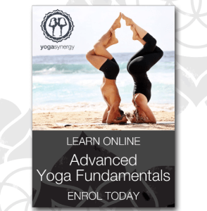 Bianca Machliss & Simon Borg-Oliver – Yoga Synergy – Advanced Yoga Fundamentals – Essentials for teaching Yoga (2)