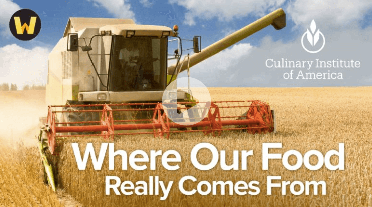 Brad Barnes – Where Our Food Really Comes From (2)