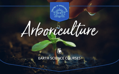 Centre of Excellence – Arboriculture Diploma Course