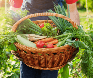 Centre of Excellence – Homesteading Diploma Course