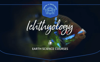 Centre of Excellence – Ichthyology Diploma Course