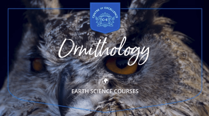 Centre of Excellence – Introduction to Ornithology Diploma Course (2)