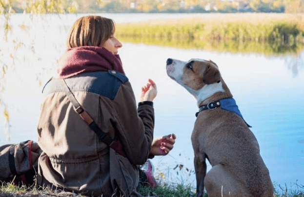 Inner Spirit – Natural ANIMAL Communication CERTIFICATION Course 2022 (2)