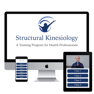 John Maguire – Structural Kinesiology Course Online