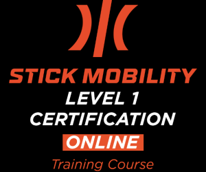 STICK MOBILITY – ONLINE CERTIFICATION-LEVEL 1