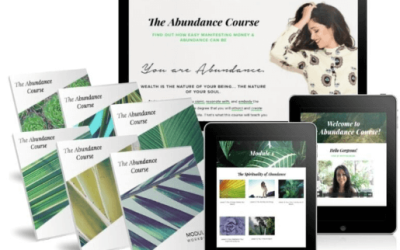 Shelly Bullard – The Abundance Course