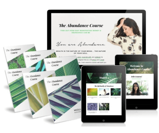 Shelly Bullard – The Abundance Course (2)