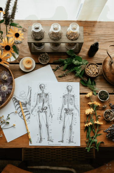 THE HERBAL ACADEMY – Advanced Herbal Course (2)