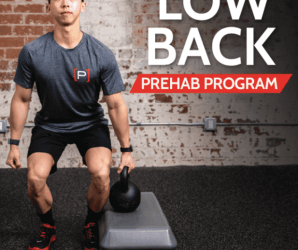 The Prehab Guys – LOW BACK [P]REHAB PROGRAM