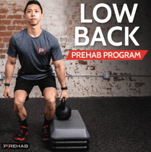 The Prehab Guys – LOW BACK [P]REHAB PROGRAM (2)