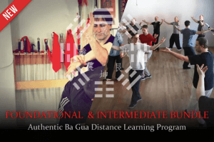 Tom Bisio – Authentic Ba Gua Zhang Online Learning – Foundational & Intermediate Two-Program Bundle