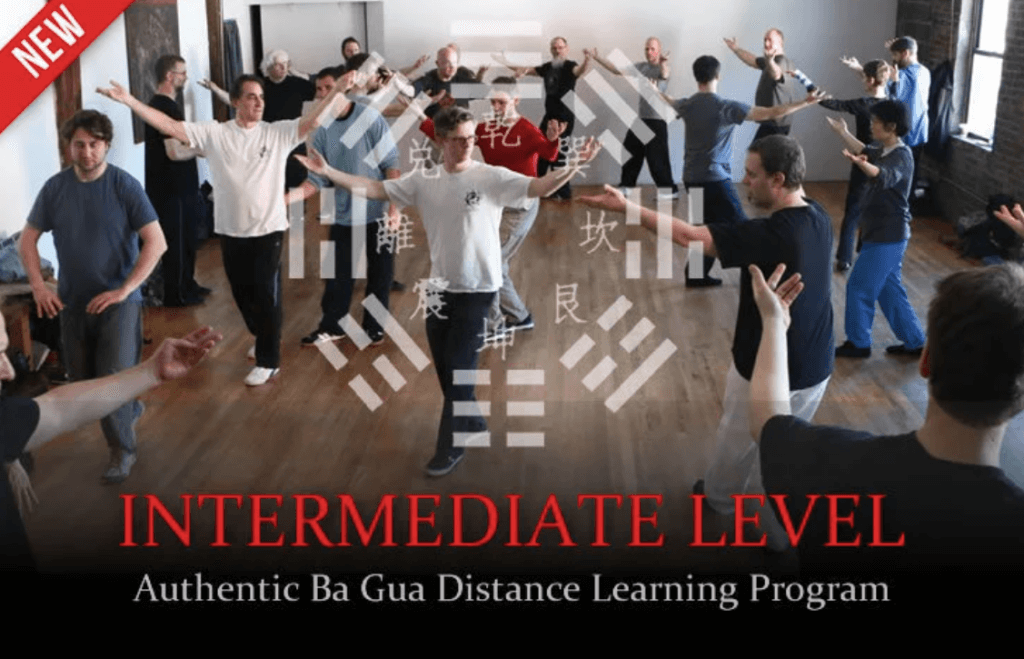 Tom Bisio – Intermediate Level of the Authentic Ba Gua Zhang (2)