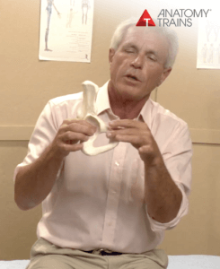 Tom Myers – Balancing the Pelvis Video & Quiz (2)