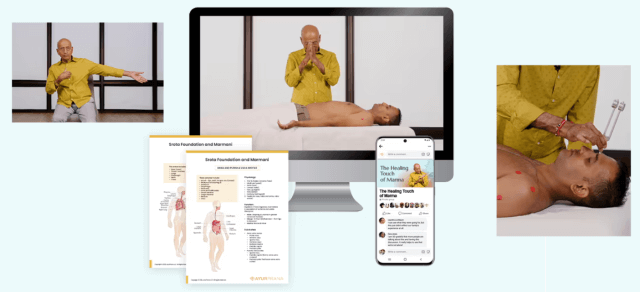 Vasant Lad – The Healing Touch Marma Acupressure Point Therapy Bundle (2)